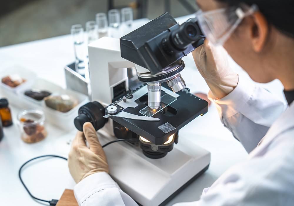 Wissenschaftler untersucht eine Probe unter dem Mikroskop im Labor.
