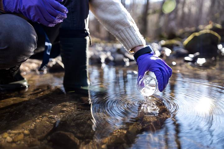 Probenahme von Wasser in einem Bachlauf zur Analyse von Schadstoffen und Umweltparametern.