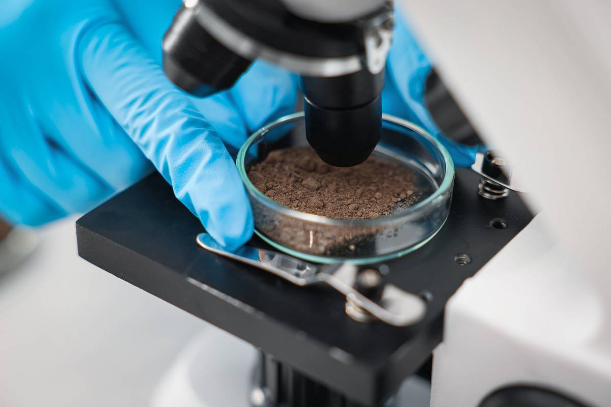 Laboruntersuchung einer Bodenprobe unter dem Mikroskop – präzise Analyse von Schadstoffen und Materialeigenschaften durch geschultes Fachpersonal.