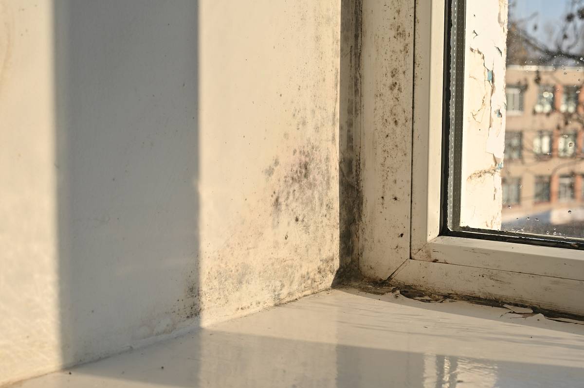 Schimmelbildung an einer Fensterlaibung durch Feuchtigkeit und Wärmebrücken