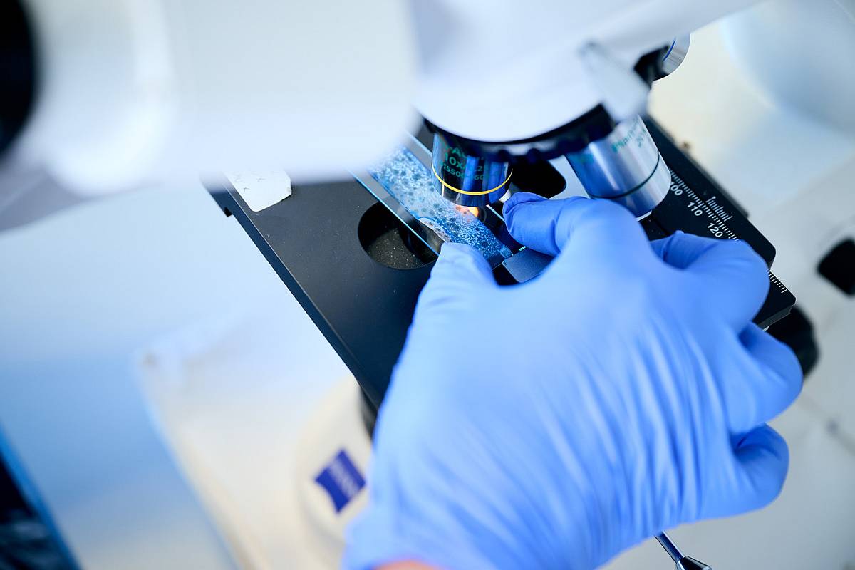 Mitarbeiterin von gabex engineers untersucht eine Probe mit einem Mikroskop im Labor.